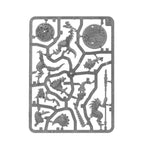 Warhammer Age of Sigmar Spearhead: Seraphon / Sunblooded Prowlers